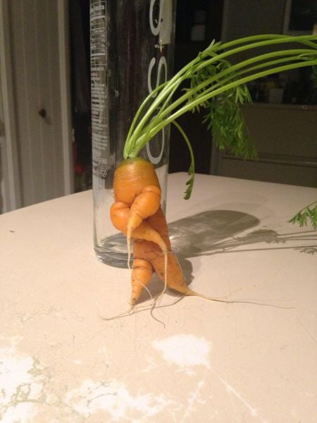 morning picdump 56 pics 2.html - 56 HD Photos | Premium Gallery 2014