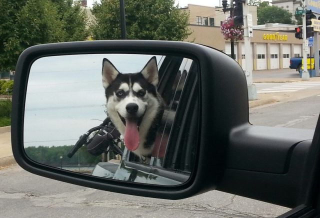 morning picdump 56 pics 2.html - 56 HD Photos | Premium Gallery 2014