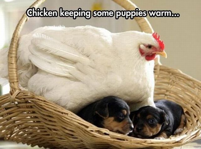 morning picdump 56 pics 2.html - 56 HD Photos | Premium Gallery 2014