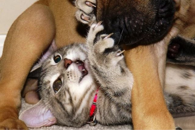 morning picdump 56 pics 2.html - 56 HD Photos | Premium Gallery 2014