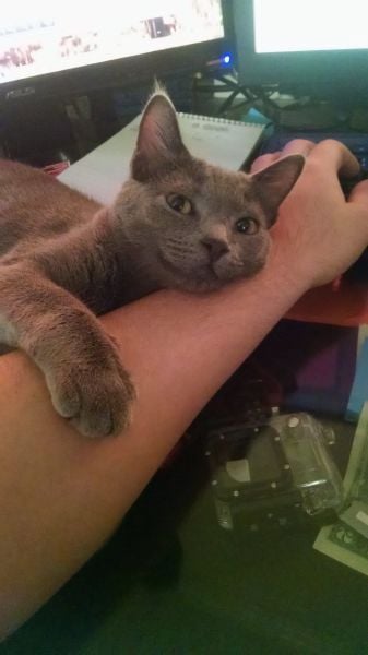 morning picdump 56 pics 2.html - 56 HD Photos | Premium Gallery 2014