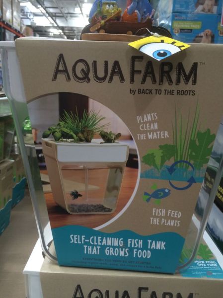 morning picdump 56 pics 2.html - 56 HD Photos | Premium Gallery 2014