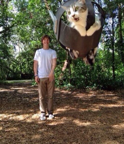 morning picdump 56 pics 2.html - 56 HD Photos | Premium Gallery 2014