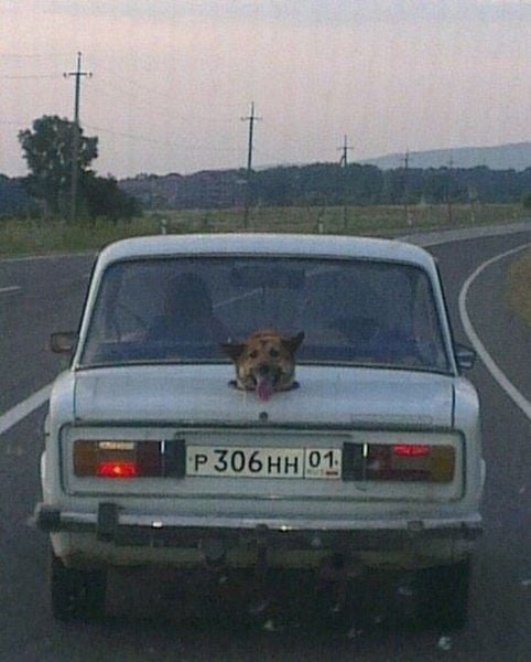 morning picdump 56 pics 2.html - 56 HD Photos | Premium Gallery 2014