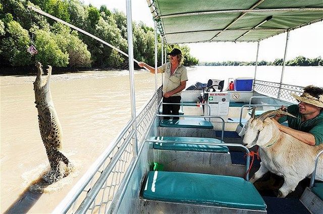 daily picdump 95 pics 41.html - 95 HD Photos | Premium Gallery 2014