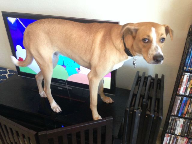 daily picdump 95 pics 41.html - 95 HD Photos | Premium Gallery 2014