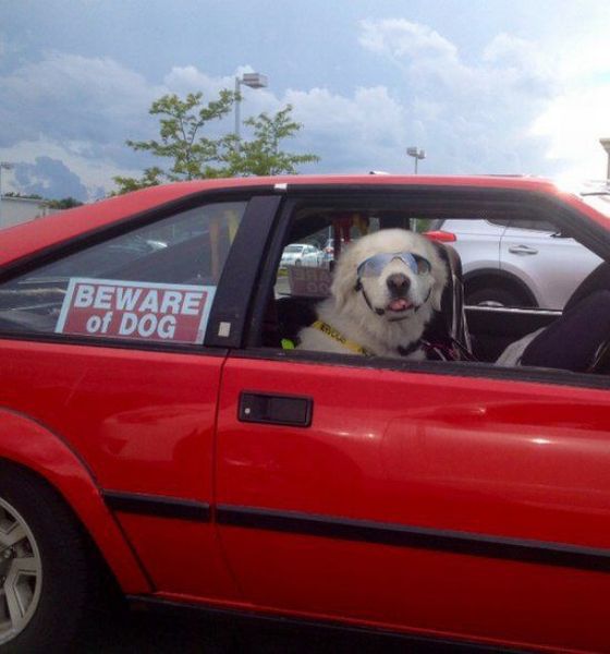 daily picdump 95 pics 41.html - 95 HD Photos | Premium Gallery 2014