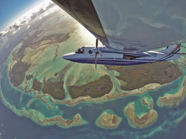 daily picdump 95 pics 41.html - 95 HD Photos | Premium Gallery 2014