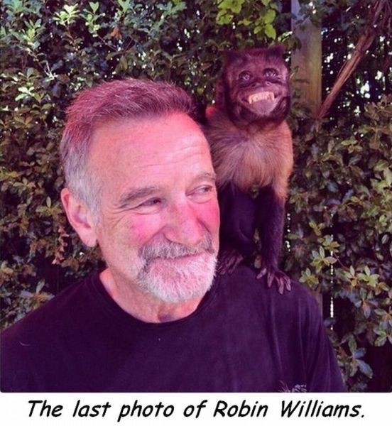 top 500 morning pics of the year 2014.html - 1 HD Photos | Premium Gallery 2014