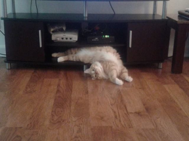 morning picdump 56 pics 3.html - 56 HD Photos | Premium Gallery 2014