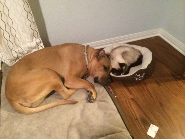 morning picdump 56 pics 3.html - 56 HD Photos | Premium Gallery 2014