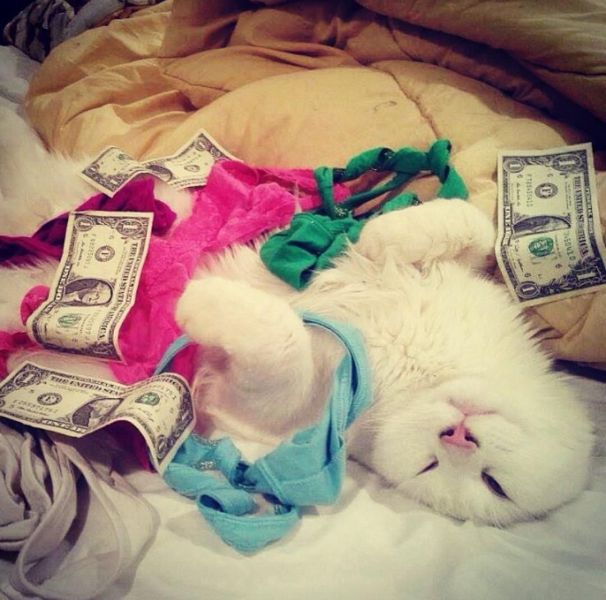 morning picdump 56 pics 3.html - 56 HD Photos | Premium Gallery 2014