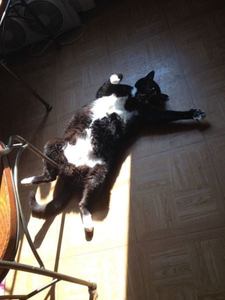 morning picdump 56 pics 3.html - 56 HD Photos | Premium Gallery 2014