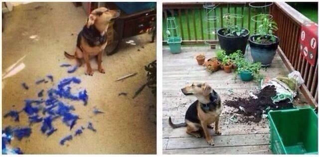 morning picdump 56 pics 3.html - 56 HD Photos | Premium Gallery 2014