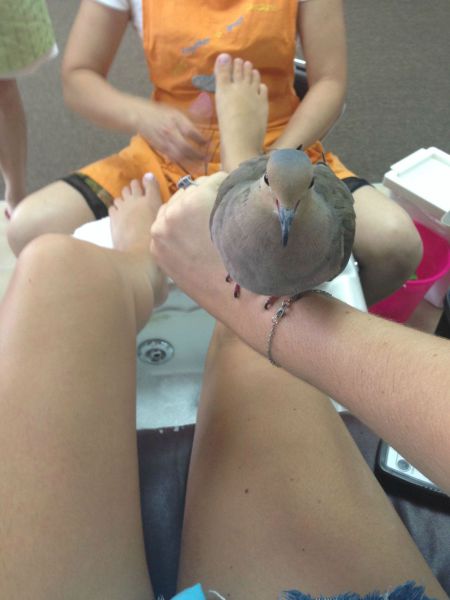 morning picdump 56 pics 3.html - 56 HD Photos | Premium Gallery 2014