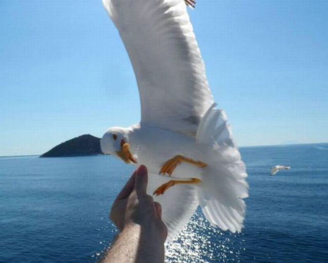 morning picdump 55 pics 2.html - 55 HD Photos | Premium Gallery 2014