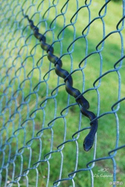 morning picdump 55 pics 2.html - 55 HD Photos | Premium Gallery 2014