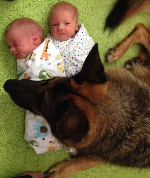 morning picdump 55 pics 2.html - 55 HD Photos | Premium Gallery 2014