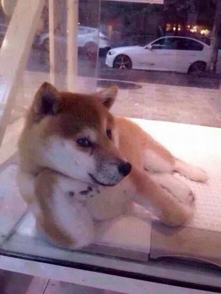 morning picdump 55 pics 2.html - 55 HD Photos | Premium Gallery 2014