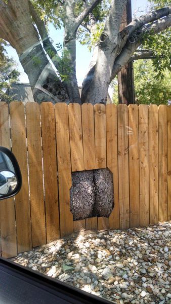 Photos That Look Dirty But Aren’t Reall