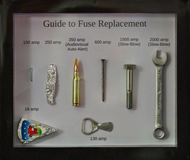 Daily Picdump [WEEKEND EDITION]