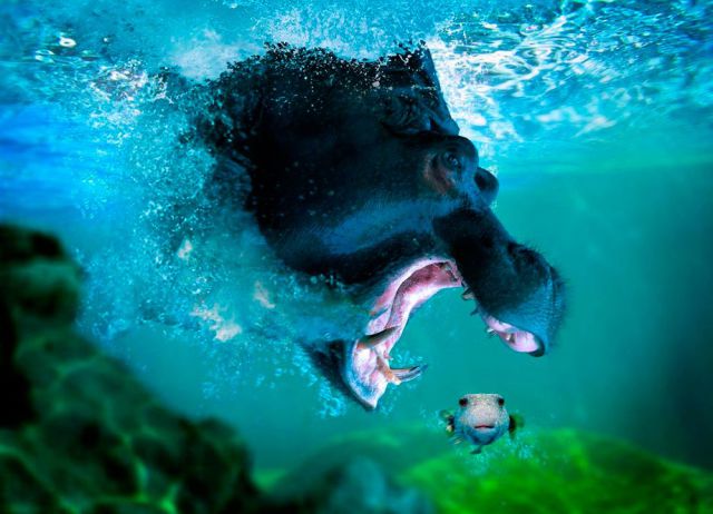 Daily Picdump [WEEKEND EDITION]