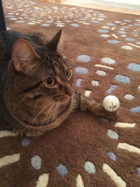 Daily Picdump [WEEKEND EDITION]