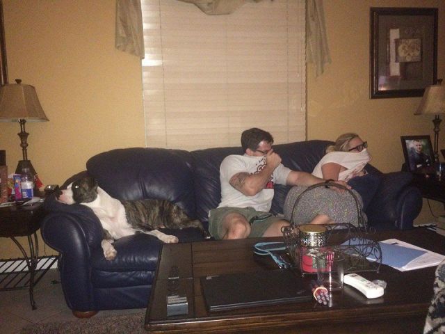 Daily Picdump [WEEKEND EDITION]