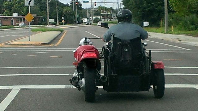 Daily Picdump [WEEKEND EDITION]