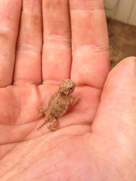 Daily Picdump [WEEKEND EDITION]