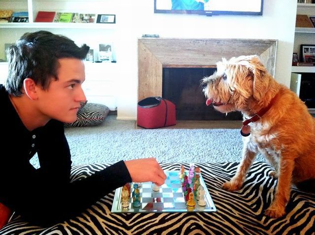 Daily Picdump [WEEKEND EDITION]