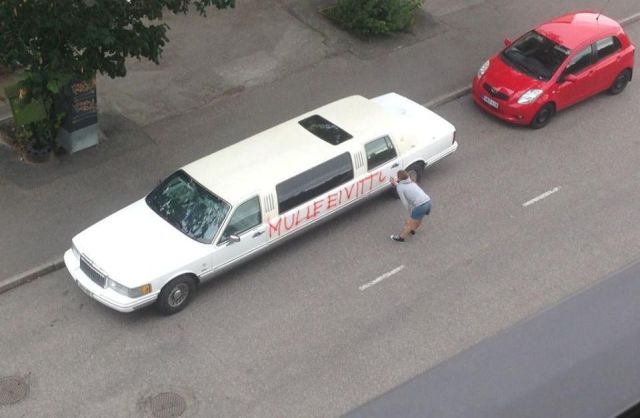 Daily Picdump [WEEKEND EDITION]