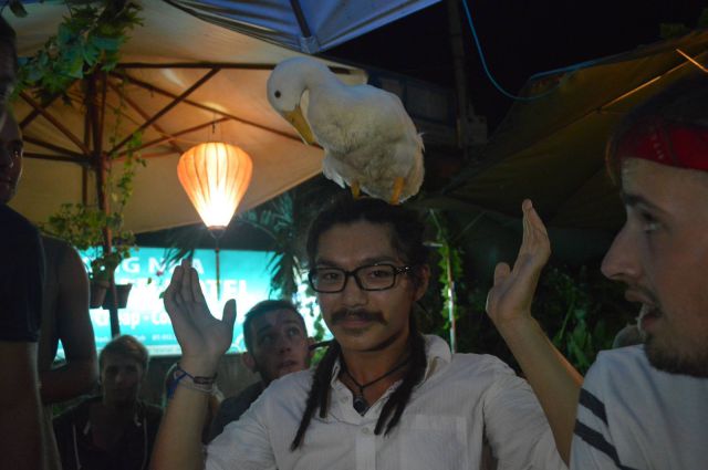 daily picdump weekend edition 93 pics 28.html - 93 HD Photos | Premium Gallery 2014