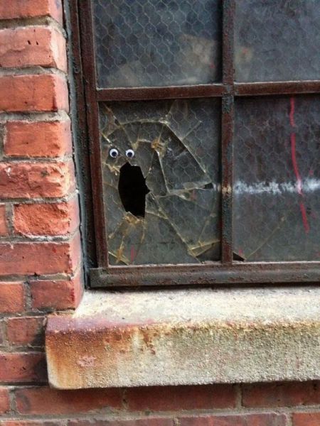 daily picdump weekend edition 93 pics 28.html - 93 HD Photos | Premium Gallery 2014