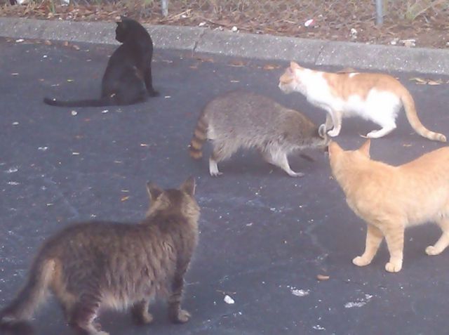 morning picdump 58 pics 2.html - 58 HD Photos | Premium Gallery 2014