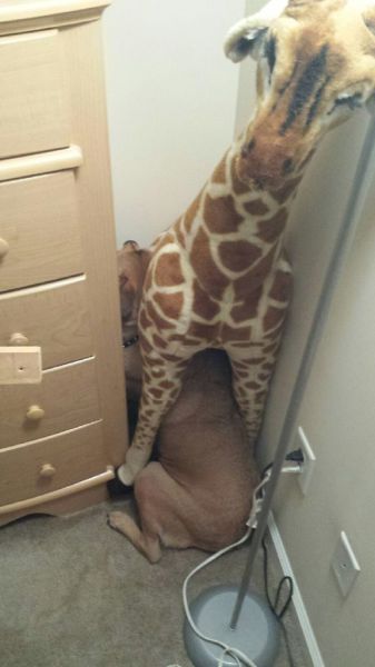 morning picdump 58 pics 2.html - 58 HD Photos | Premium Gallery 2014