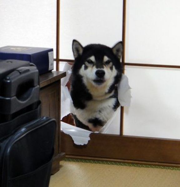 morning picdump 58 pics 44.html - 58 HD Photos | Premium Gallery 2014