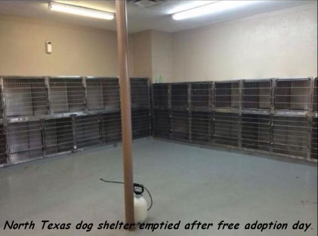 top 500 morning pics of the year 2014.html - 1 HD Photos | Premium Gallery 2014