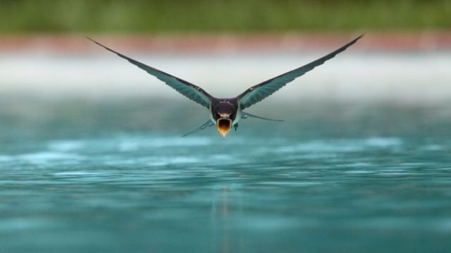 morning picdump 58 pics 44.html - 58 HD Photos | Premium Gallery 2014