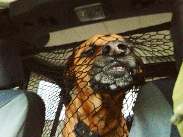 morning picdump 58 pics 44.html - 58 HD Photos | Premium Gallery 2014