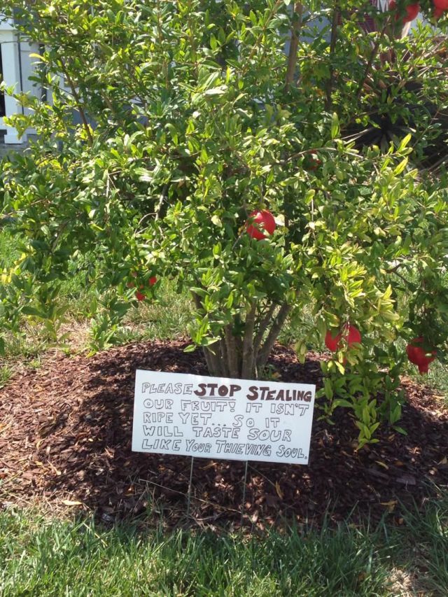 morning picdump 58 pics 44.html - 58 HD Photos | Premium Gallery 2014