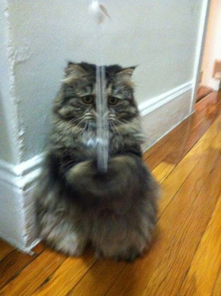 morning picdump 52 pics 7.html - 52 HD Photos | Premium Gallery 2014