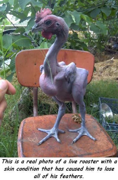 morning picdump 52 pics 7.html - 52 HD Photos | Premium Gallery 2014