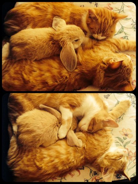 morning picdump 52 pics 7.html - 52 HD Photos | Premium Gallery 2014