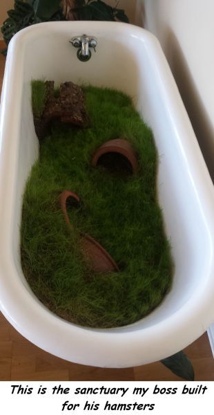 morning picdump 52 pics 7.html - 52 HD Photos | Premium Gallery 2014