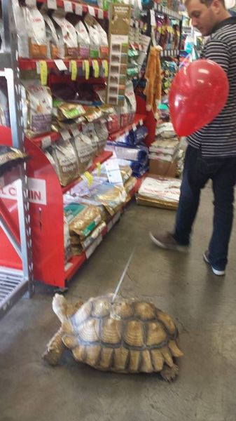 morning picdump 59 pics 2.html - 59 HD Photos | Premium Gallery 2014