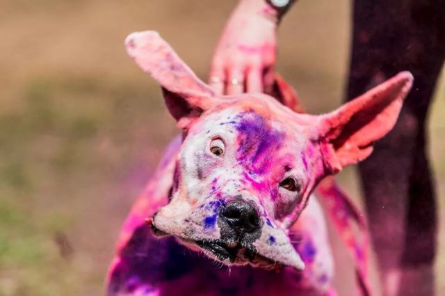 morning picdump 59 pics 2.html - 59 HD Photos | Premium Gallery 2014