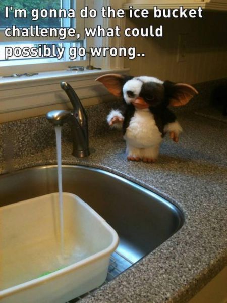 funny picdump 50 pics 5.html - 50 HD Photos | Premium Gallery 2014