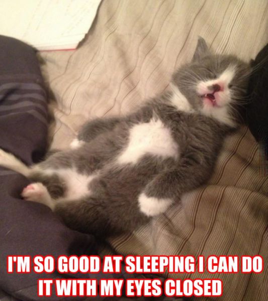 funny picdump 50 pics 5.html - 50 HD Photos | Premium Gallery 2014