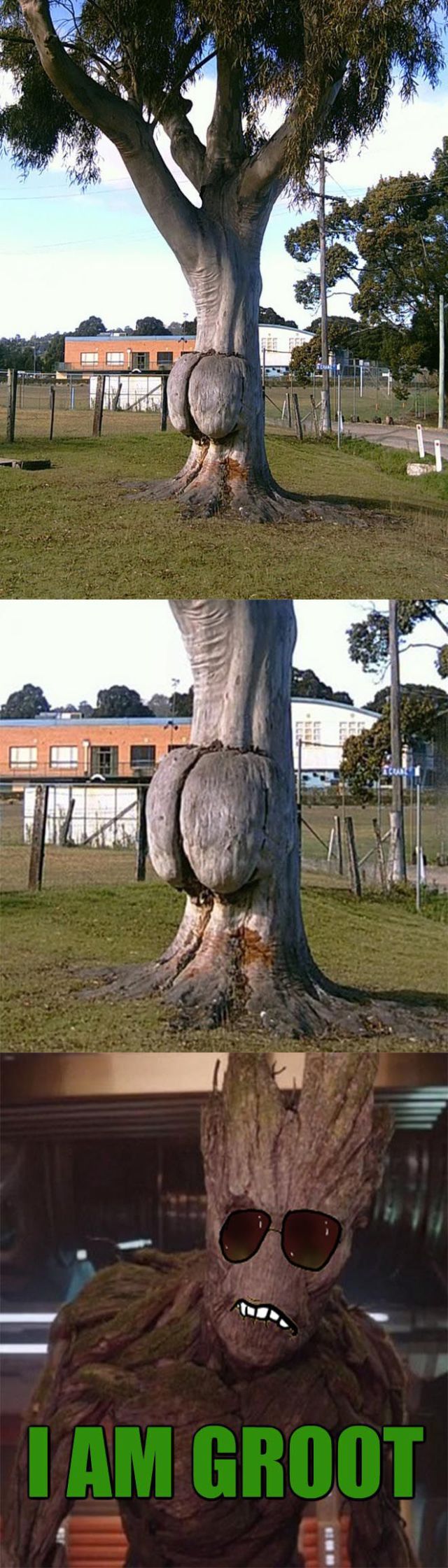 funny picdump 50 pics 5.html - 50 HD Photos | Premium Gallery 2014